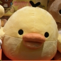 山寨型男