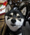 許強強