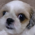 Miluco