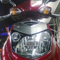 alen79603