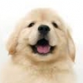 kevin.l.bear21