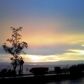 panli