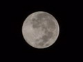 david_0318