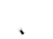 punkpuma0128