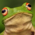 aboctv