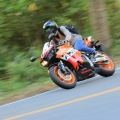 waylon0811