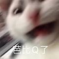 芭比Q惹