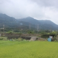 eagle維尼
