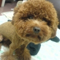 MyName7673