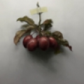 Jason阿哲