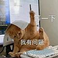 ~柚子