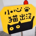 kite.tw
