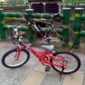 wdsluin123
