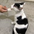 露比喵喵0110
