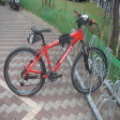 a3699555