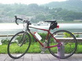 丘丘583740