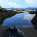 愛莫能助