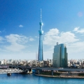 tonhang85