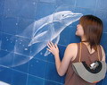 bottlenose27