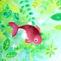 cdfish