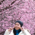 sunny30