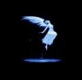 NightGenie