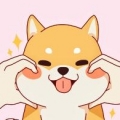 Qing27