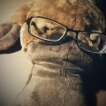 Platypus Hsieh