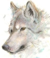 Adrianwolf