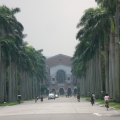 baowalk
