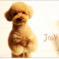 J@Y~