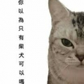 順風而至