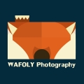 wafoly.com