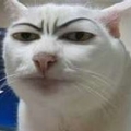 o丸子o