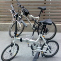 ANDREW7533