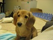 kulise0118@yahoo.com