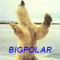 BIGPOLAR