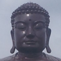 小院子
