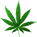 junecheia