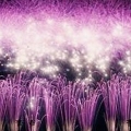 阿祥^^