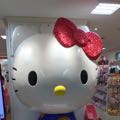 Alice_Lee