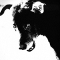 joelin51403