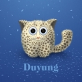 duyung