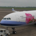 han31079