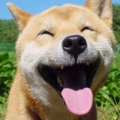 馮依萍