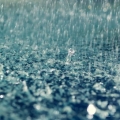 天天都在下雨