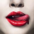 Lion_7-11