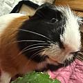 Katie0419