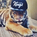 Tyga50