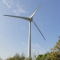 yuarno
